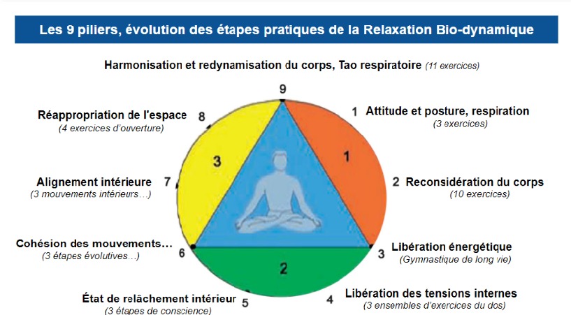 Les 9 piliers, évolution des étapes pratiques de la Relaxation Bio-dynamique